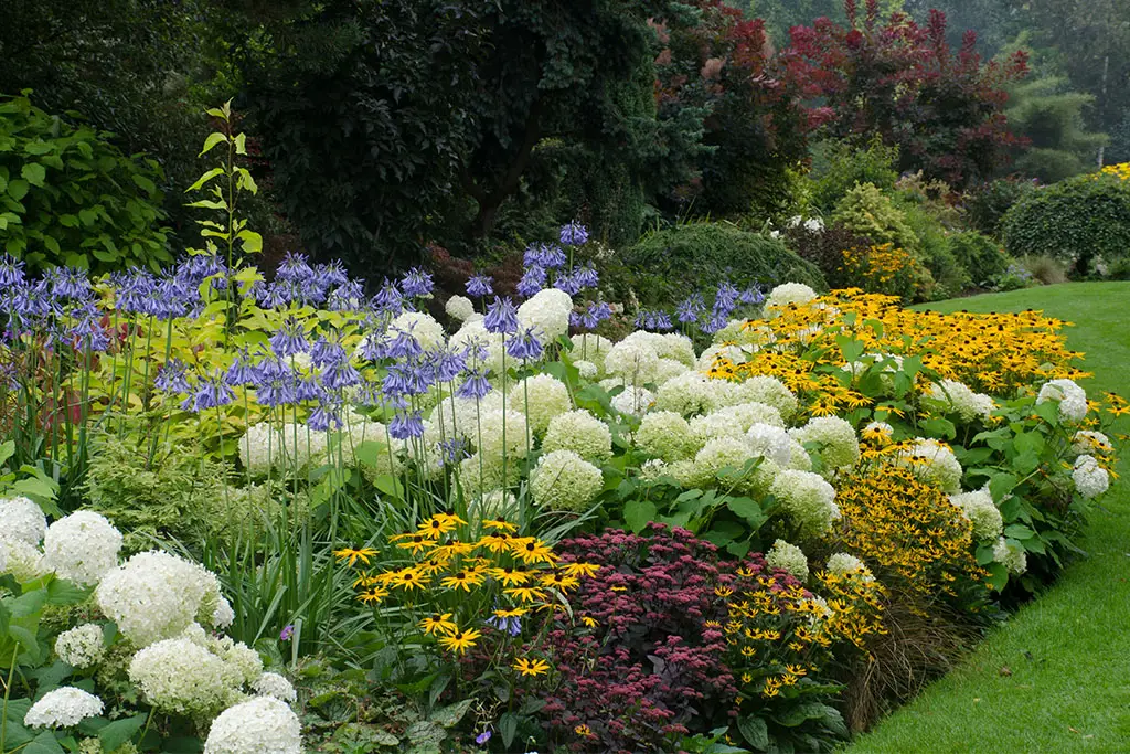franks gardern central nurseryTrees Plants Shrubs